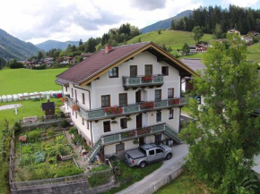 Apartment Hotter 18, Wald Im Pinzgau, Österreich